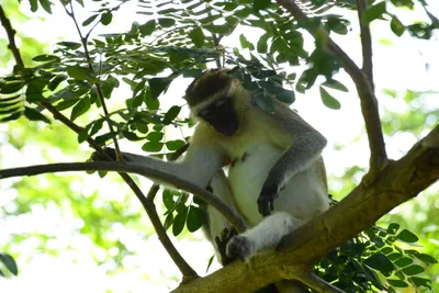 DSC_7906 (Large).JPG